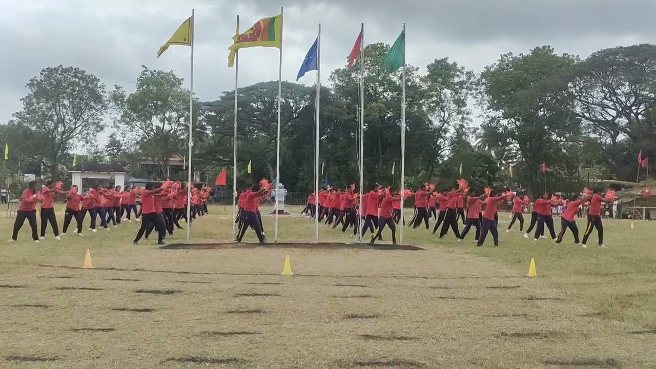 වයඹ දම්සඳ 2026 සරඹ සංදර්ශනය