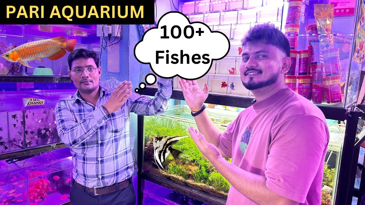 New Pari Aquarium at Kurla Aquarium Fish Market