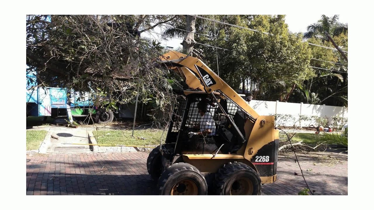 Top Shelf Tree Service LLC