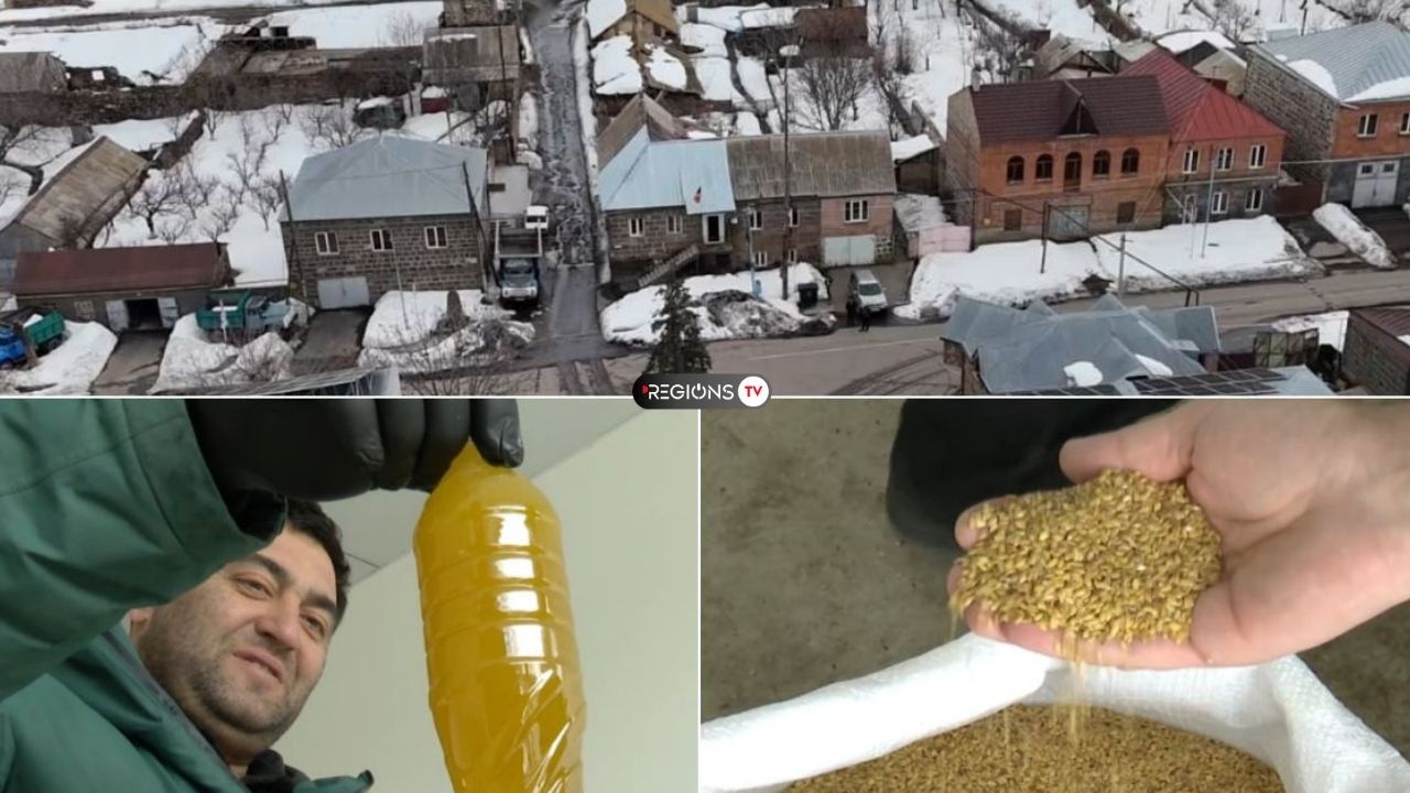 Ձիթհաններով հայտնի գյուղը․ որո՞նք են Ֆանտանի խնդիրներն ու զարգացման հեռանկարները