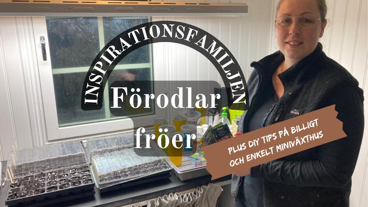 - F&ouml;rodlar fr&ouml;er 🌱🪴- Sowing seeds - inspirationsfamiljen