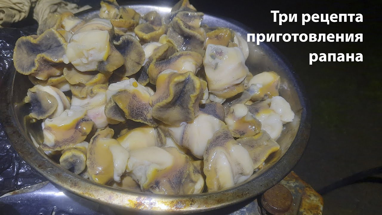 #proкухня Рапан три рецепта приготовления. Азово-черноморская кухня. Рецепт приготовления рапана.