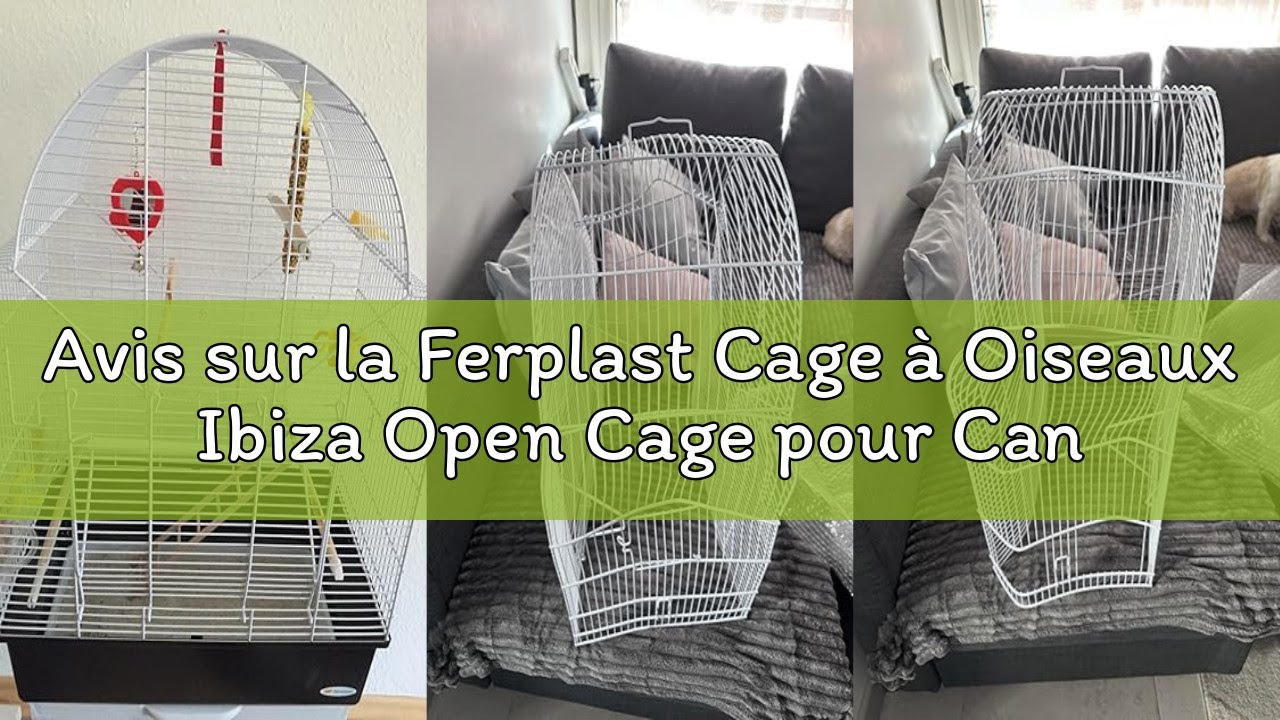 Avis sur la Ferplast Cage à Oiseaux Ibiza Open Cage pour Canaris, Pinsons, Perruches Ondulées, Insép