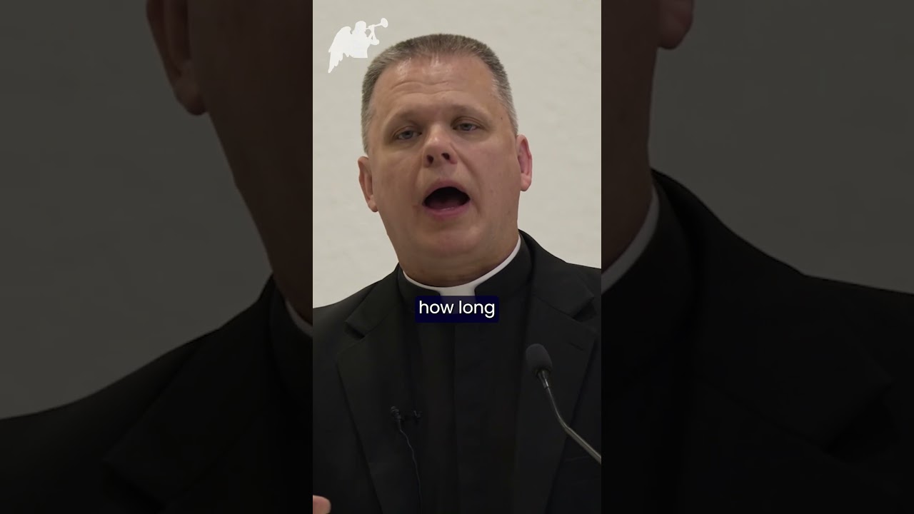 Jesus told St Faustina that we are in the end of times. Divine Mercy. Fr Chris Alar #divinemercy