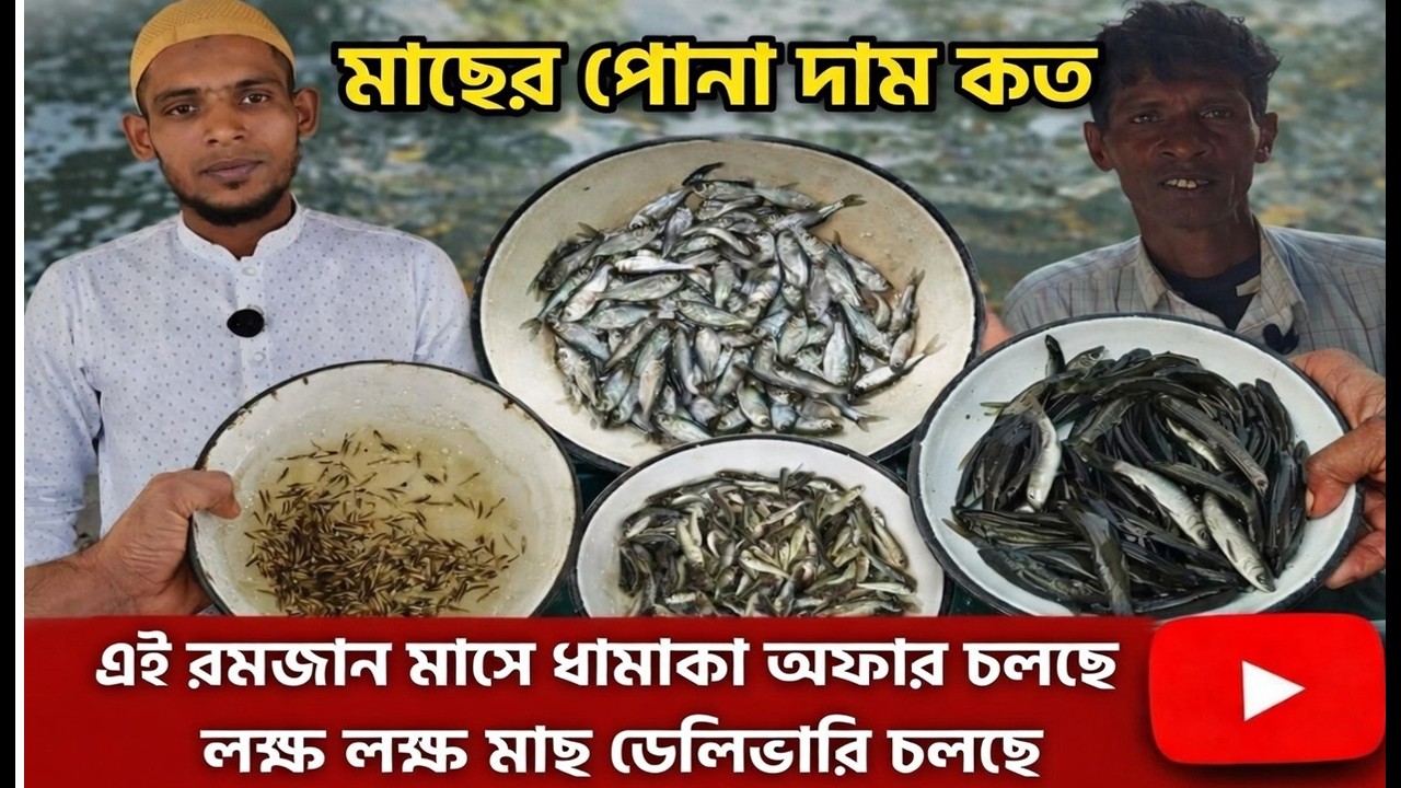 মাছের পোনার দাম কত 2026 আপডেট রেট ধানি মাছের।ভিন্ন ভিন্ন ধানি পোনার রেট যেনে নিন হ্যাচারি থেকে