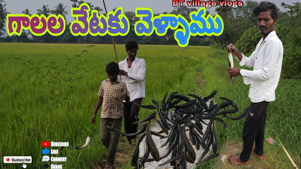 గాలల వేటకు వెళ్ళాము #fishing koramenu hunting #fish #dryfish #village #villagevlog #penumudi floods 
