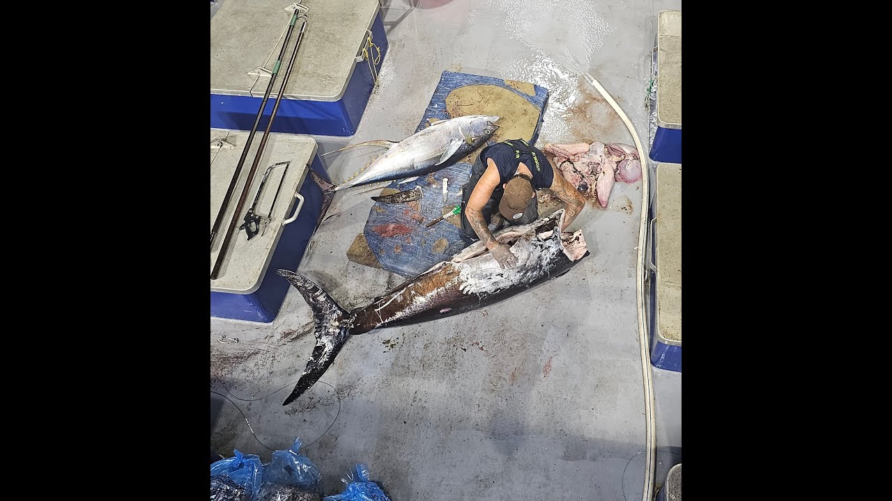 Angry Swordfish and Big Eye Tuna onboard Derwent Venture Offshore Fishing - Episode 13 -