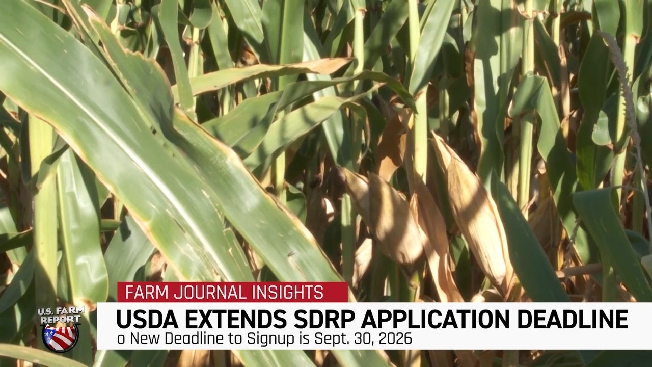 USDA Extends Disaster Aid Deadline for Farmers. Is More Relief Coming?