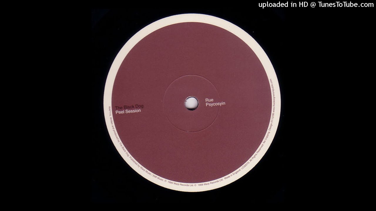 The Black Dog - Psycosyin