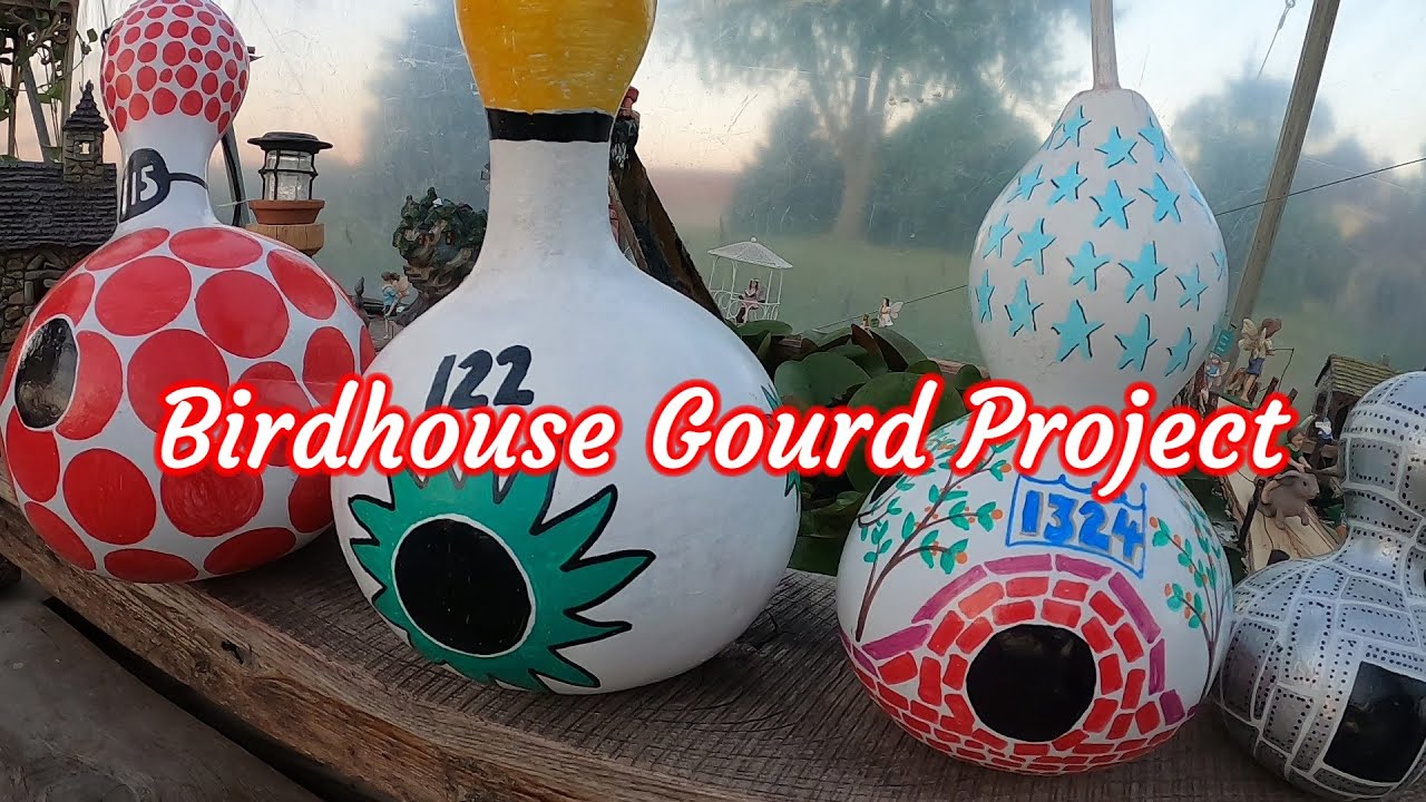 Bird House Gourd Project