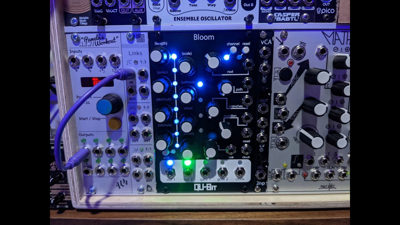 First Patch with Qu-Bit Bloom Sequencer