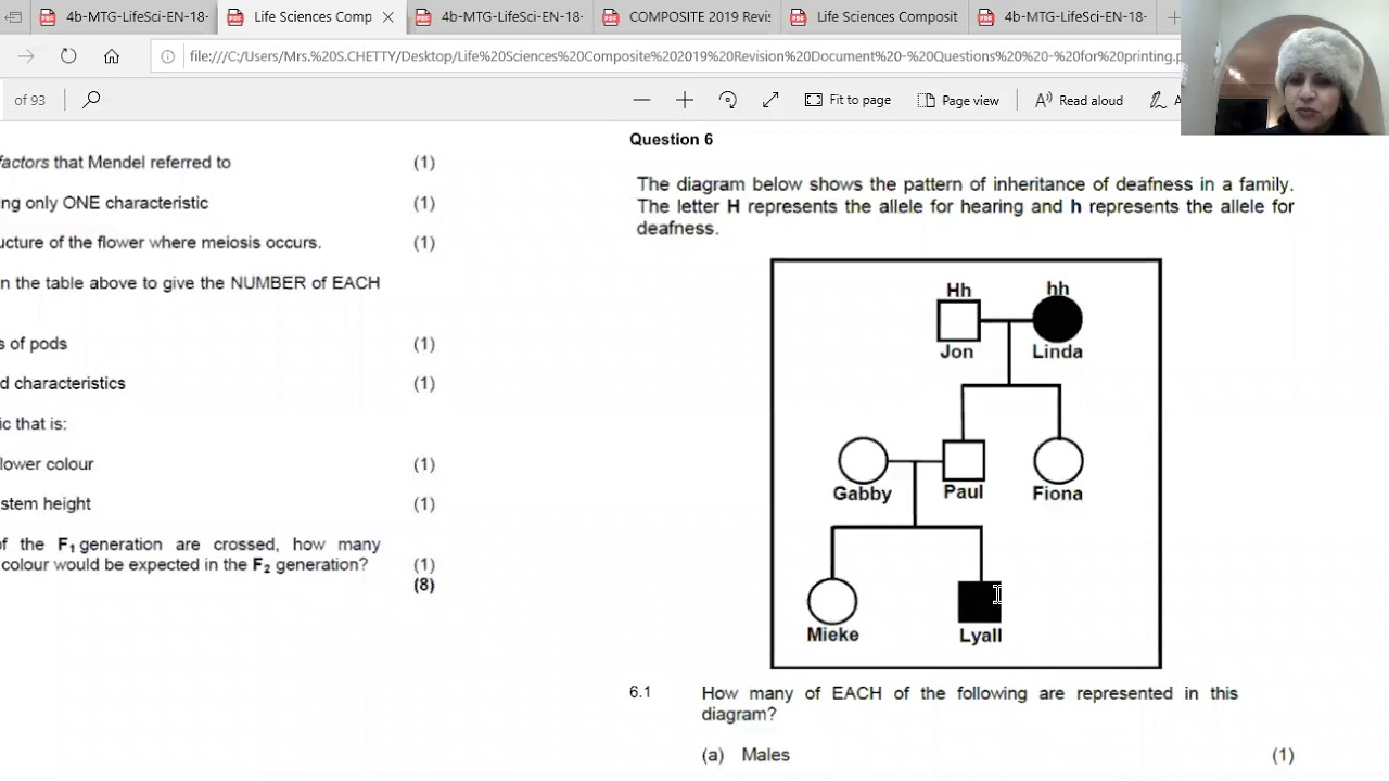 Genetics Pedigree Diagrams Grade 12