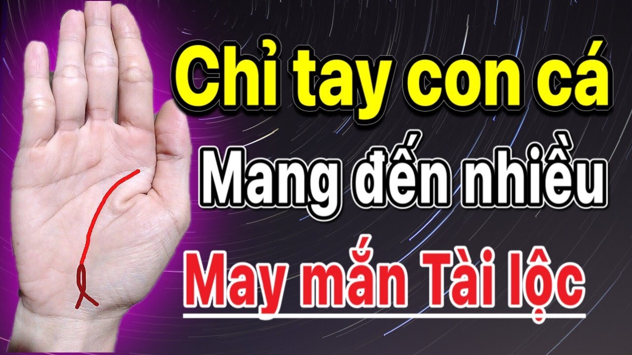 Chỉ tay CON CÁ | Mang đến nhiều MAY MẮN và TÀI LỘC
