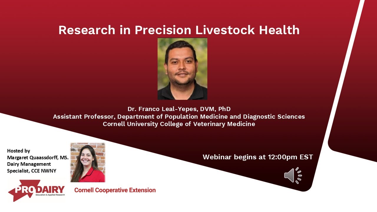 Boots in the Barn: Research in Precision Livestock Health