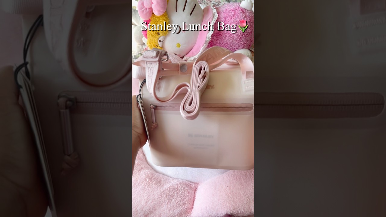 Stanley Lunch Bag Unboxing 🎀 #unboxing #stanleylunchbag #lunchbag #aesthetic #pinkstanley #unbox