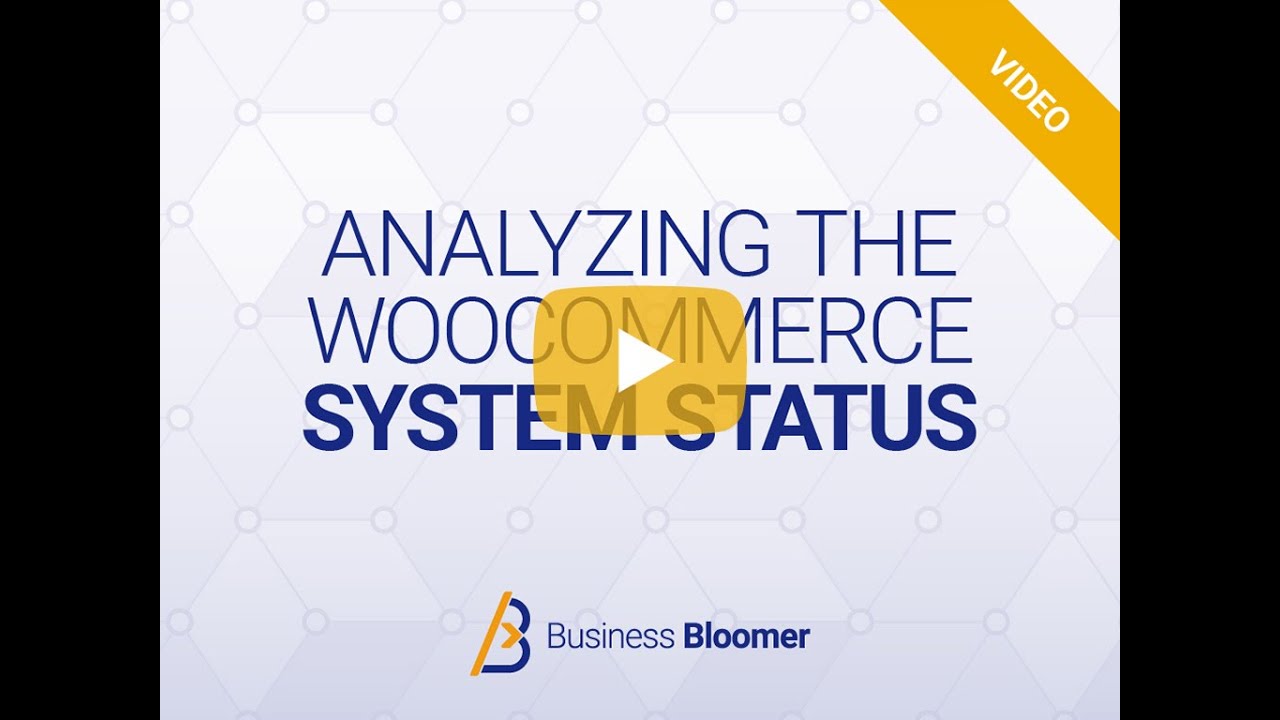 Analyzing the WooCommerce System Status