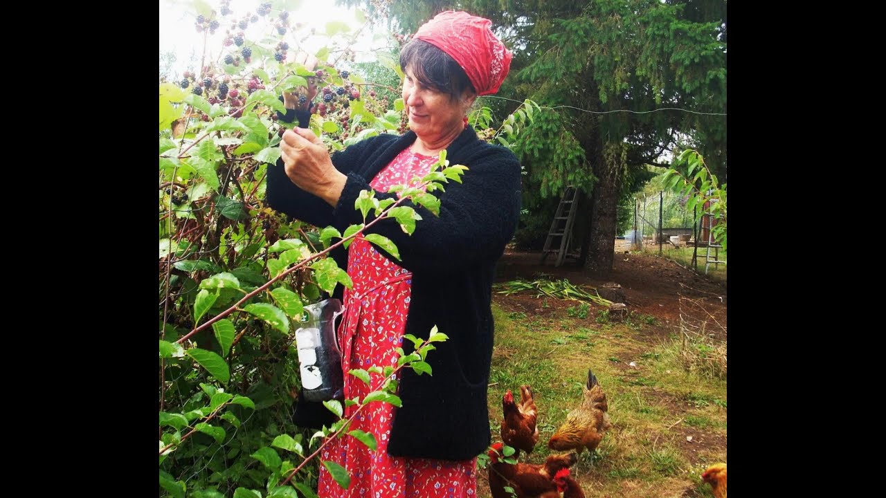 Thirty Years on a Homestead