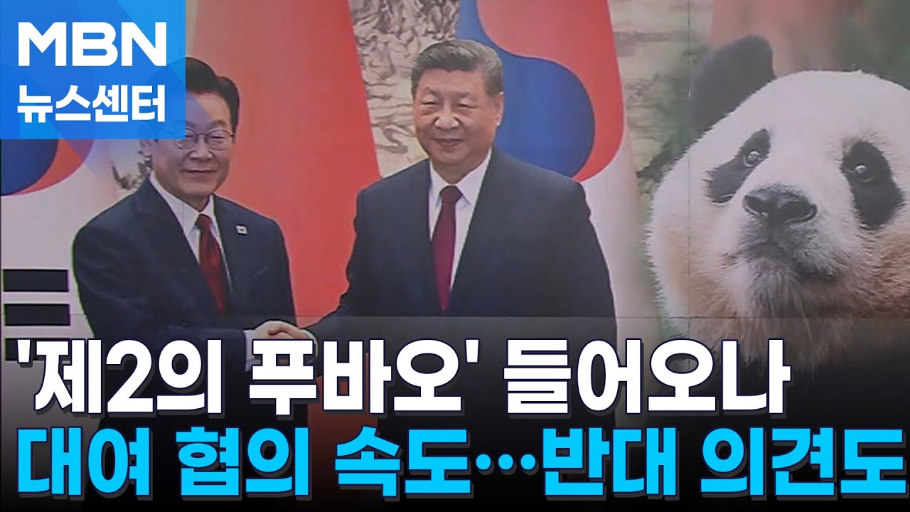 정부 중국서 판다 대여 협의 속도…동물복지단체 