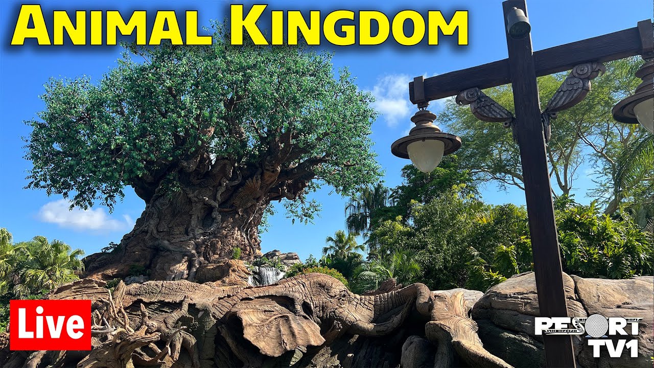 🔴Live: Whimsical Wednesday at Animal Kingdom - Walt Disney World Live Stream - 1-14-26