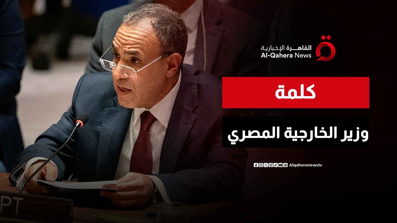 كلمة وزير الخارجية المصري أمام مجلس الأمن حول القرارات الإسرائيلية بضم أراضي من الضفة الغربية