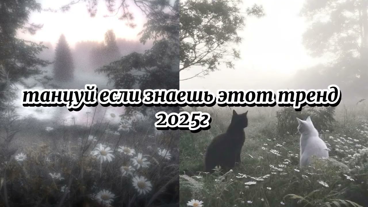 танцуй если знаешь этот тренд 2026года! 