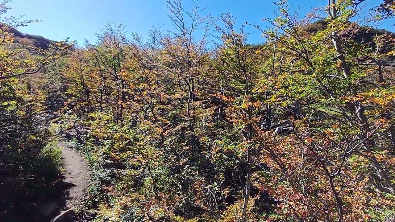 Los mejores #colores #sinfiltro del camino al REFUGIO ROCCA son en #oto&ntilde;o #trekking #bariloche 2024