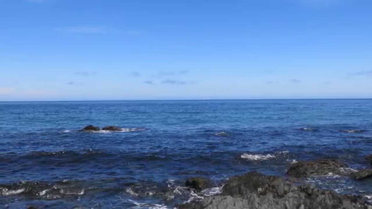 Trifulka - Ballenas en el Corcovado