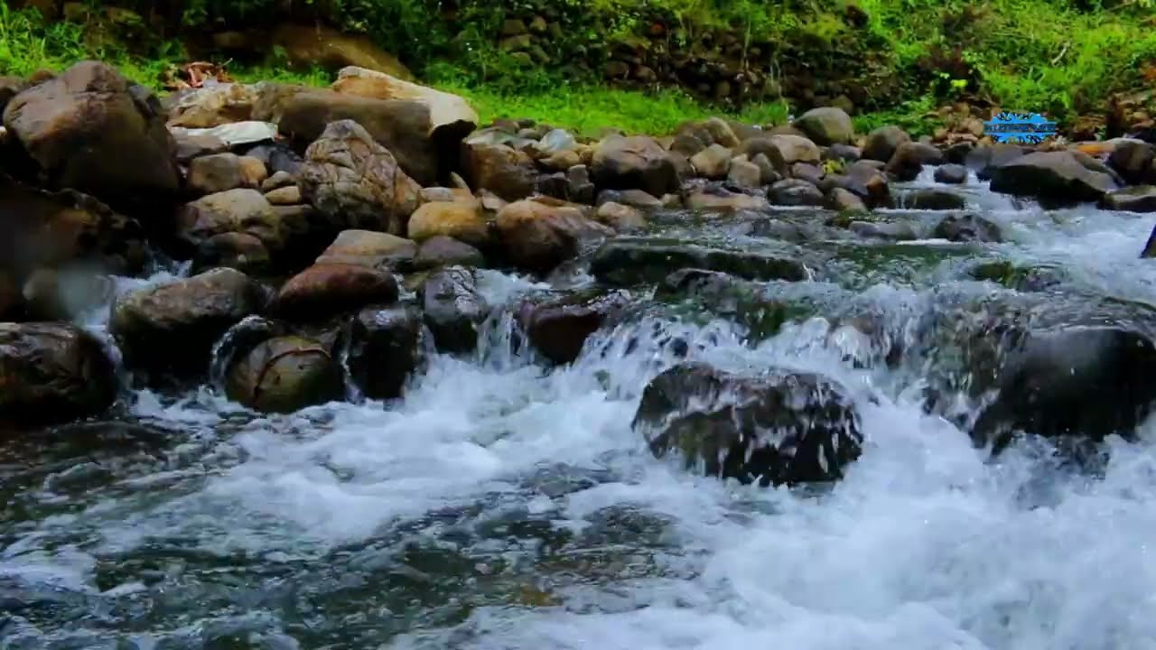 Heavy Rain Sounds for Sleeping  Relaxing Rain ASMR for Deep Sleep 🌧️😴