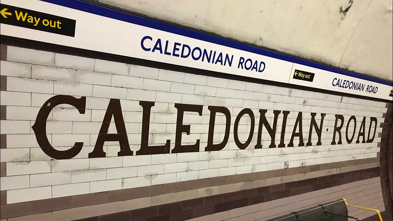 Orphans, Cows and Caledonian Road