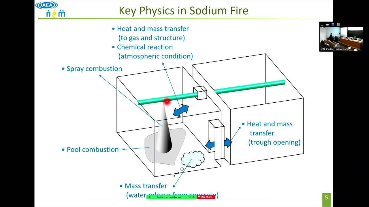 Safety Analysis of Sodium-Cooled Fast Reactor and Innovative Numerical Approach