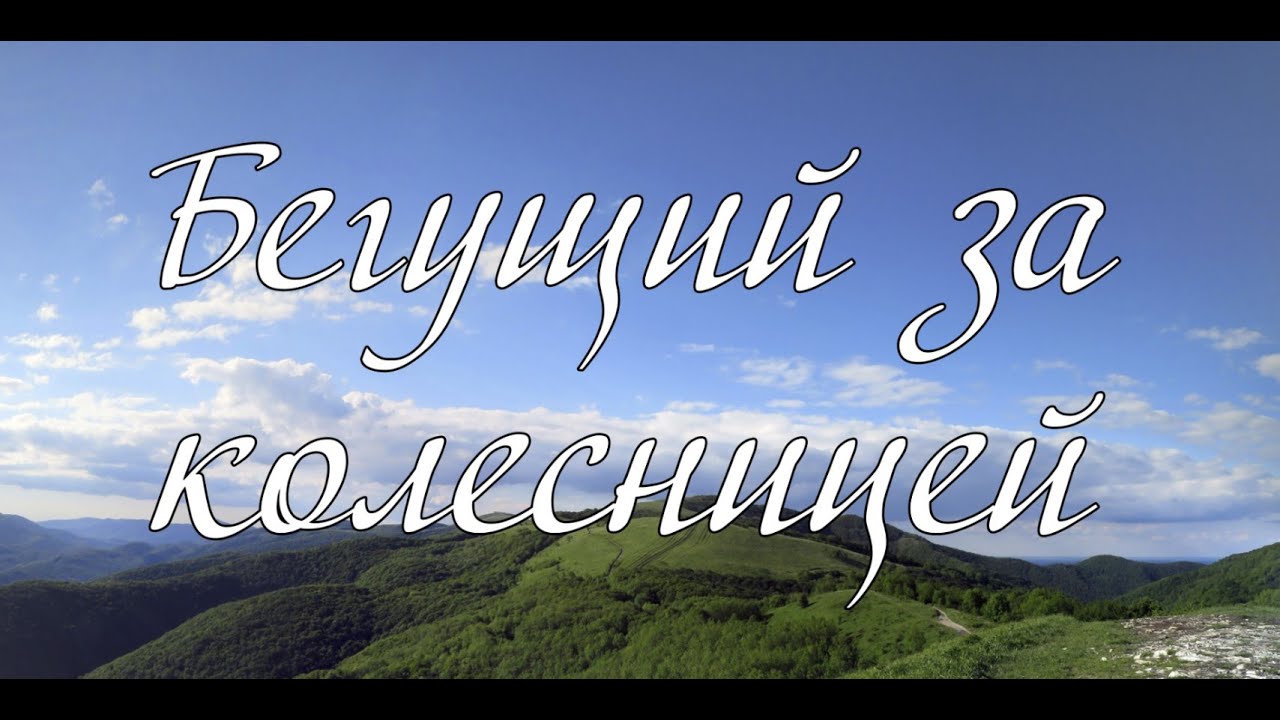 Бегущий за колесницей Гиезия .....слово А И Матвейчук