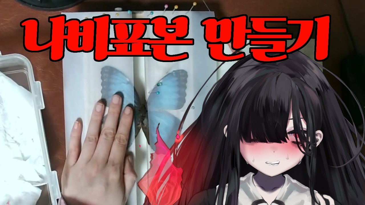 나비 표본 해보아요