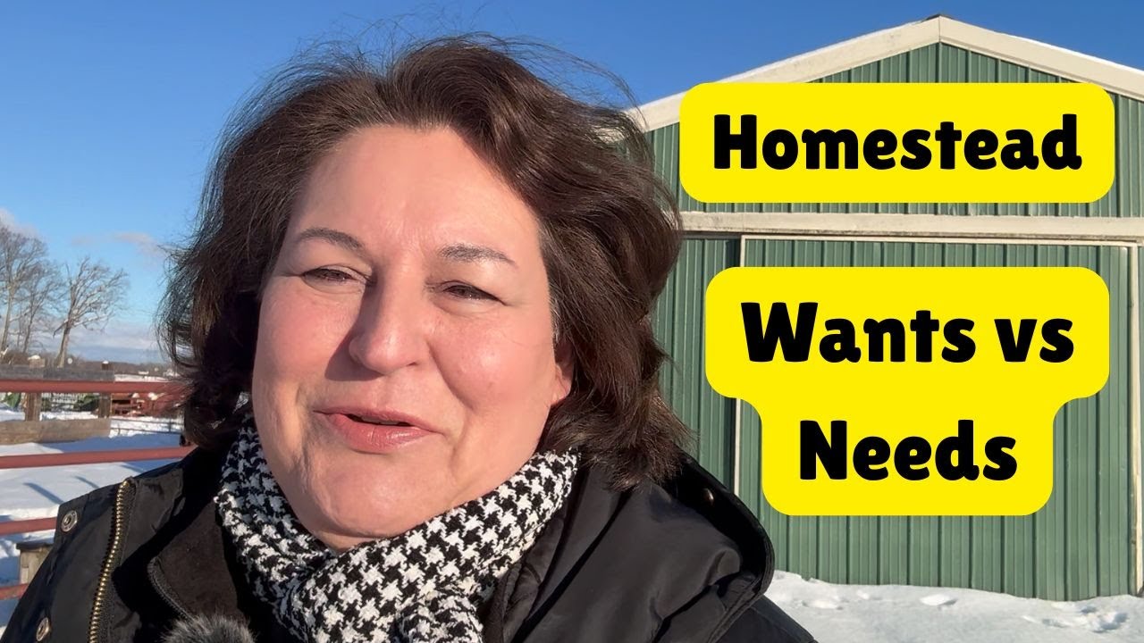 What You Actually Need To Start A Homestead (And What You Don't)