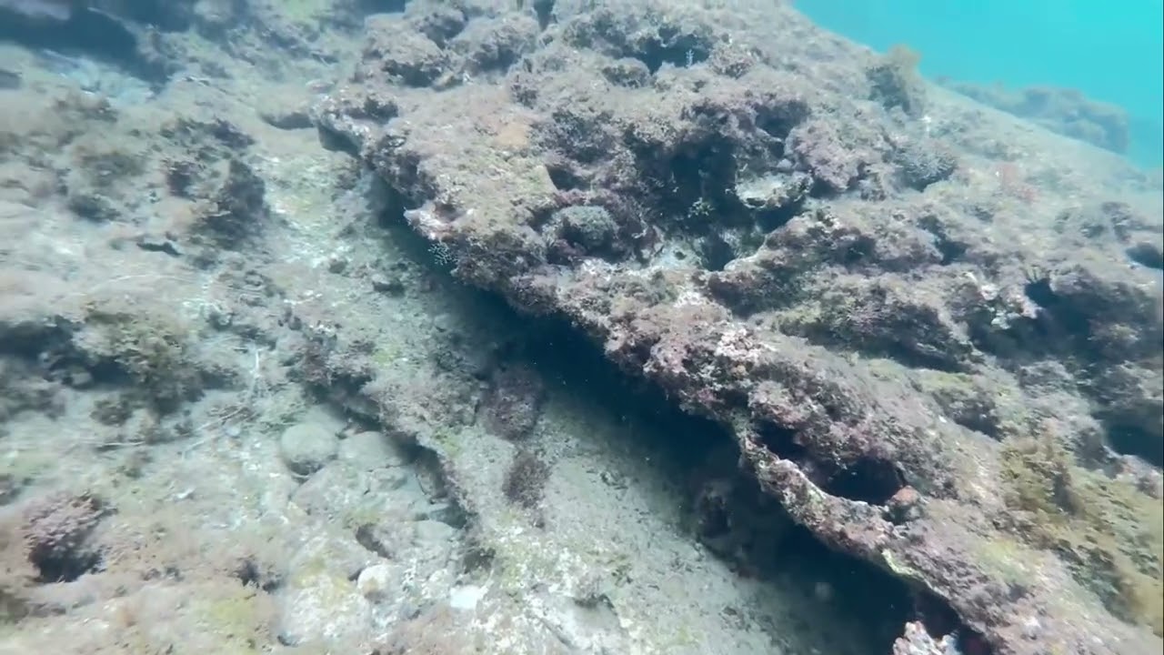 Frederiksted Beach St Croix free snorkeling聖克羅伊島弗雷德里克斯特德海灘