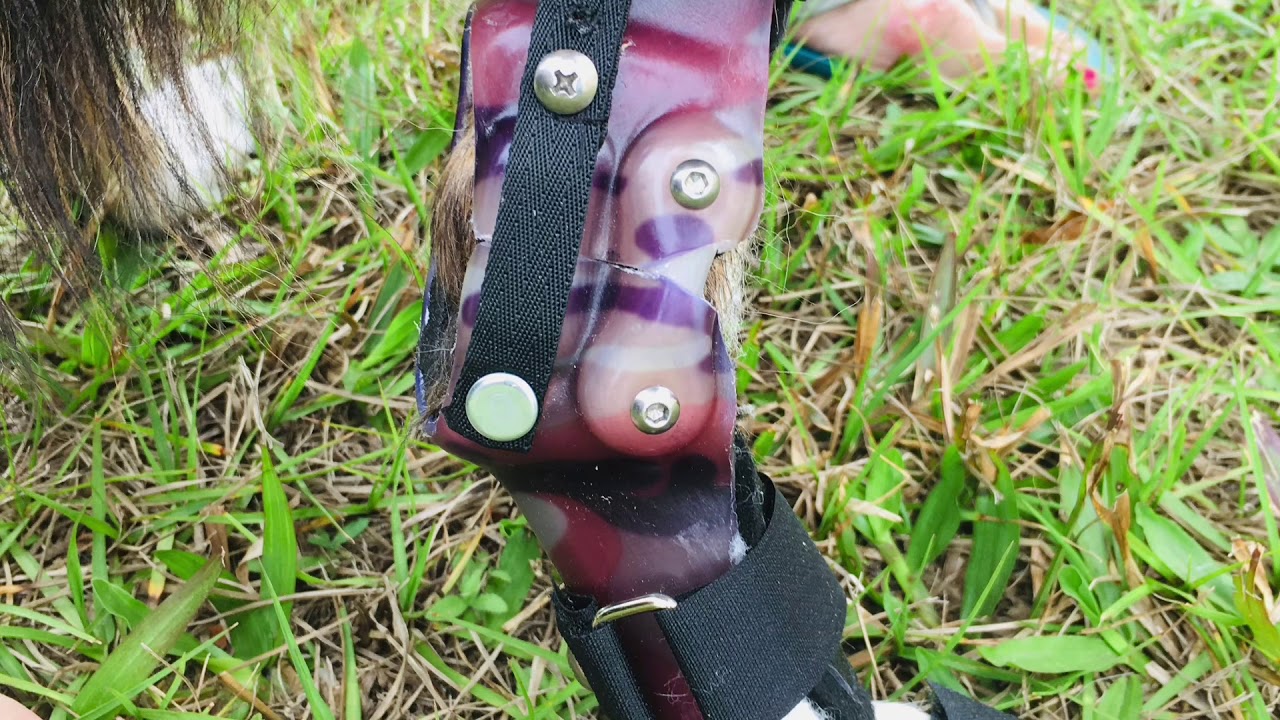 Tarsal Brace