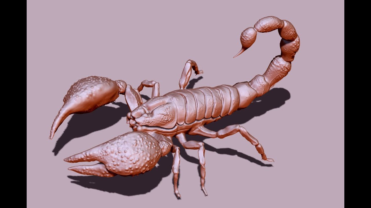 Scorpion Modelling and Animation 3.2 - Rigging and Skinning