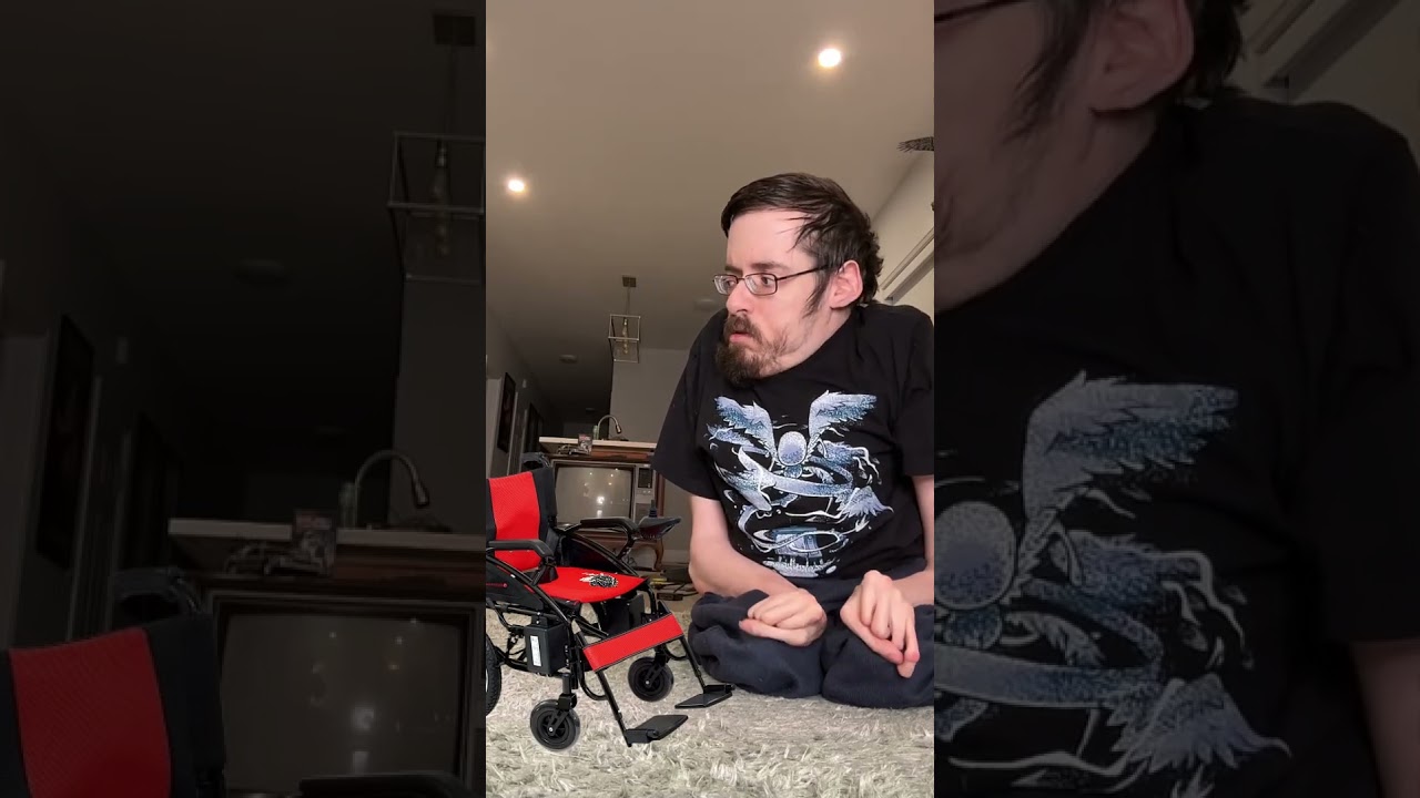 DISABLED FLY