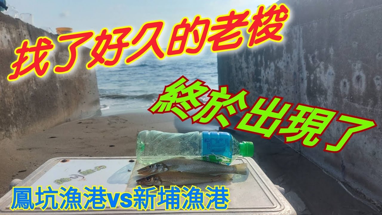 ☆遠投☆  志昇養殖場買蟲去! 新竹＞苗栗出發去釣傳說中的炸酥酥的魚，這地的魚體很可以耶！  #李曉漁   #灘釣   #沙梭