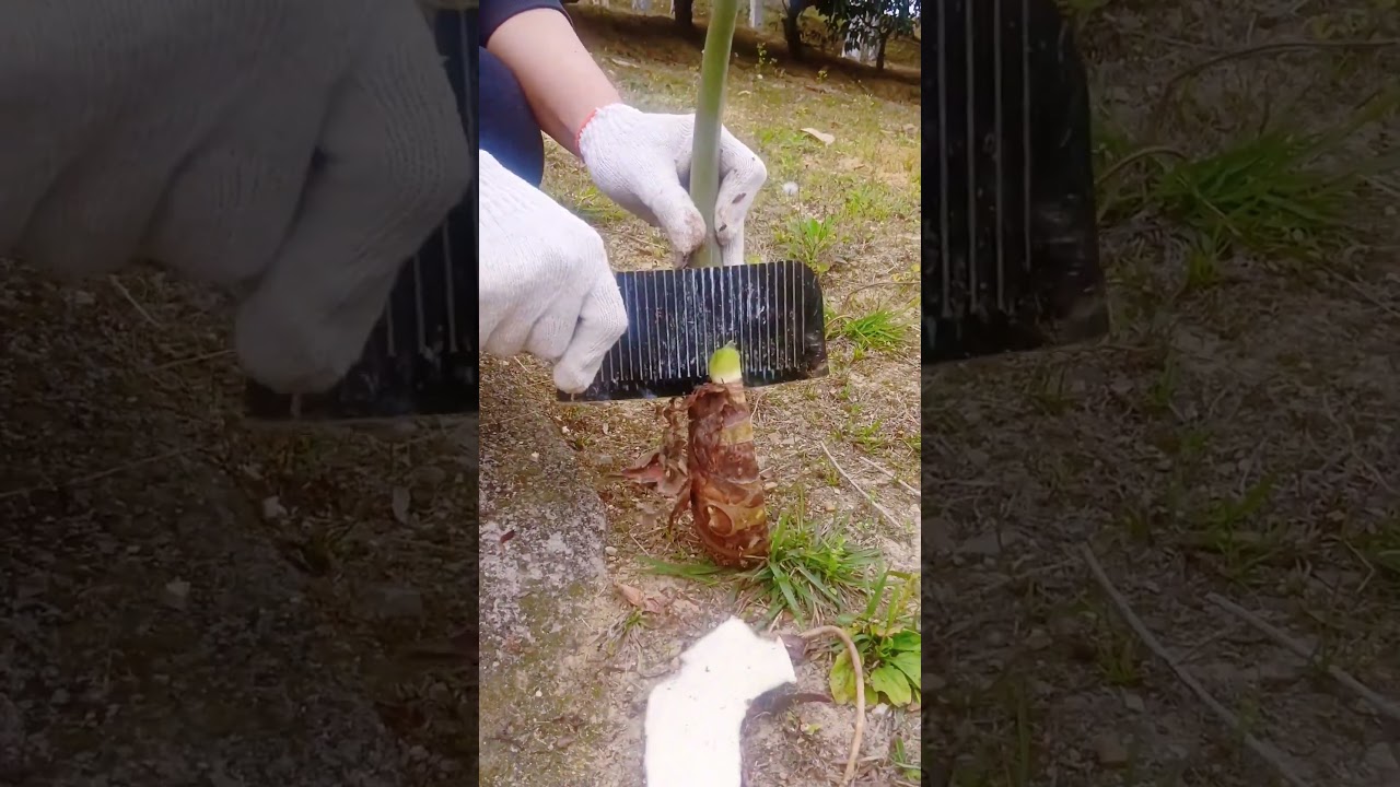 St 464443 mini rotary tillage and ridging all-in one tree 🌲 short view #subscribe #shorts #trending