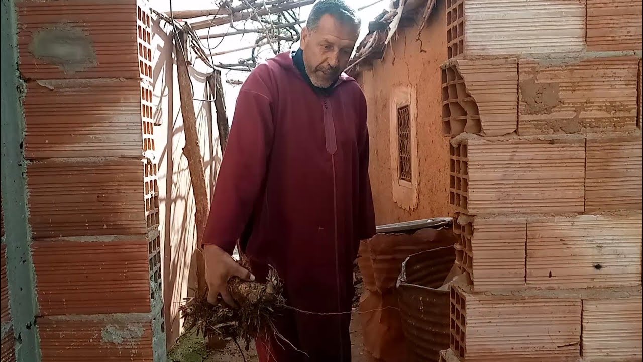 اليوم  عمي راشد   تعاون مع مي كبير في كسبة عديه لدوير🤔🥰🤣