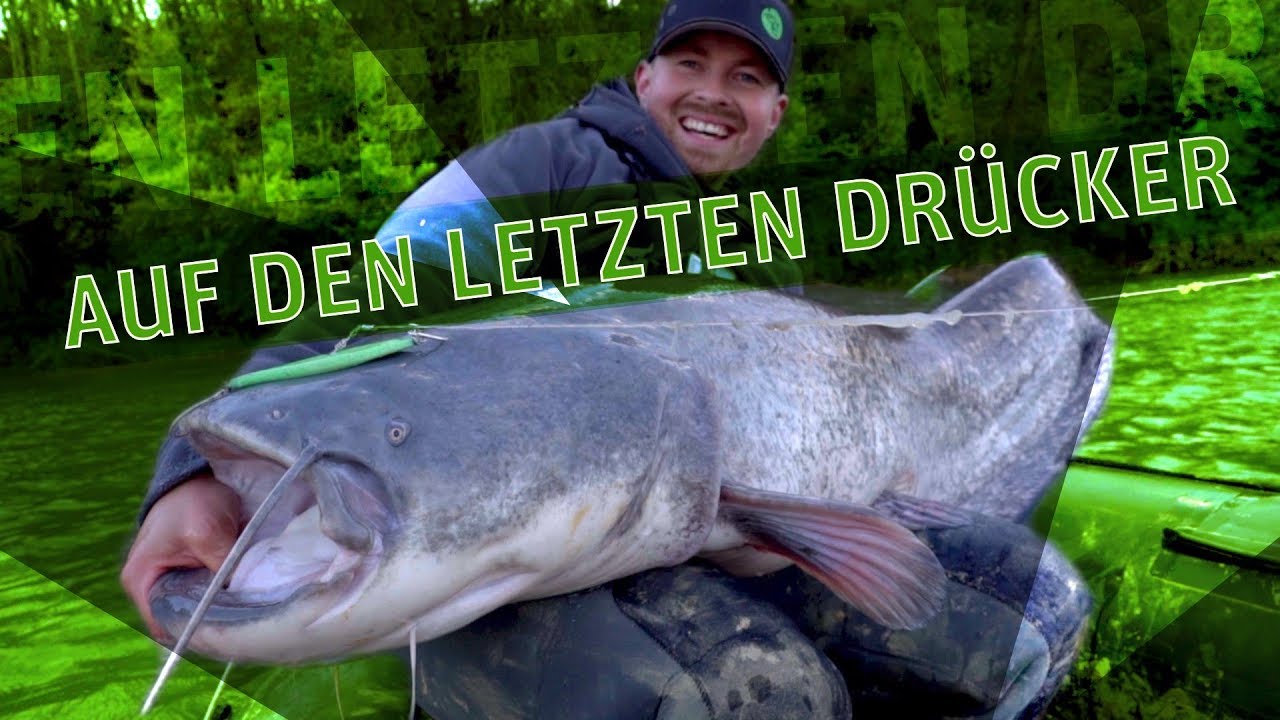 Vertikal auf Wels mit kleinem Schlauchboot | www.zeck-fishing.com