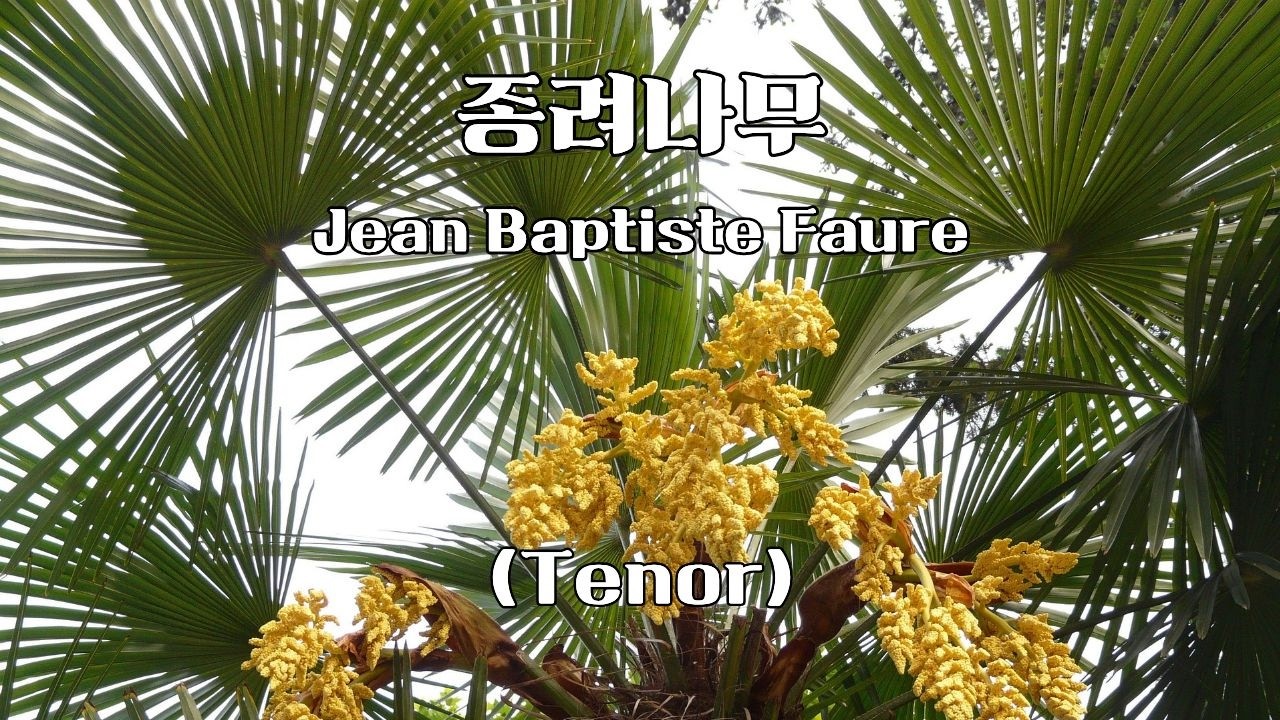 종려나무 (Tenor) - Jean Baptiste Faure