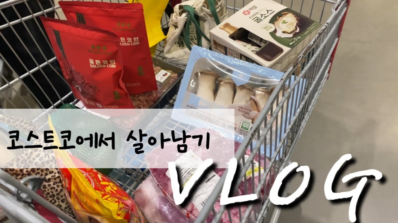 [주부브이로그] 장보기가 몇번이야 … 코스트코부터 시작! 명절은 원래 이런거지 ? 