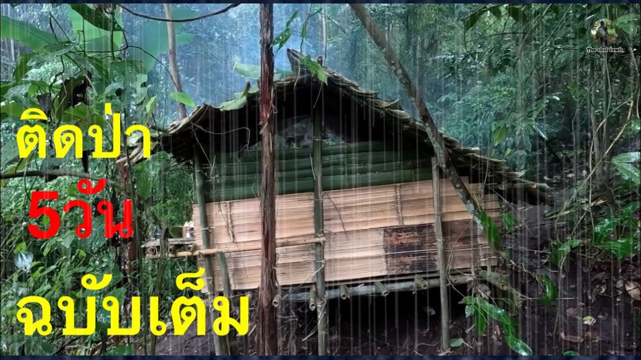 (ฉบับเต็ม) สร้างที่พัก นอนป่า 5วัน4คืน ฝนถล่มหนัก