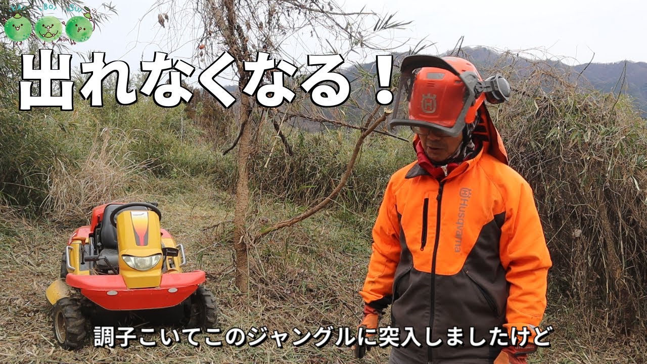 HeyMasao笹竹ジャングルから出れなくなる！