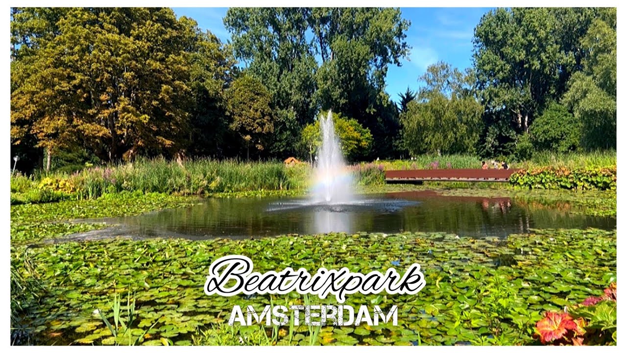 Beatrixpark is so beautiful!!! 🌳🌾🪷 | Amsterdam Summer 2022