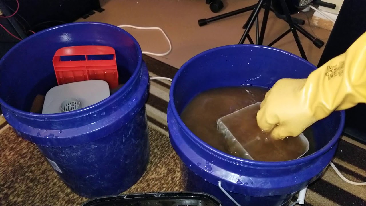 cleaning fluval 407 canister filter after six months.