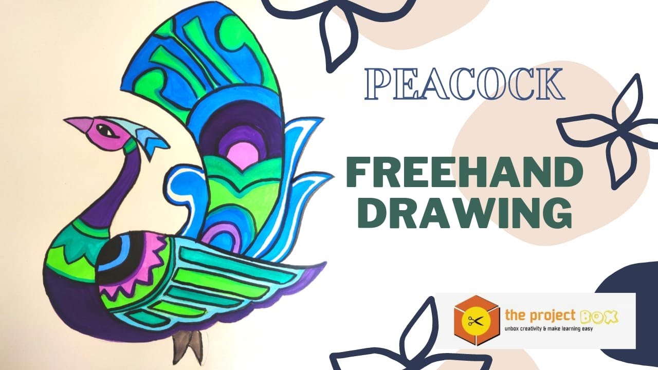 Freehand drawing ( Peacock ) l Elementary drawing lesson