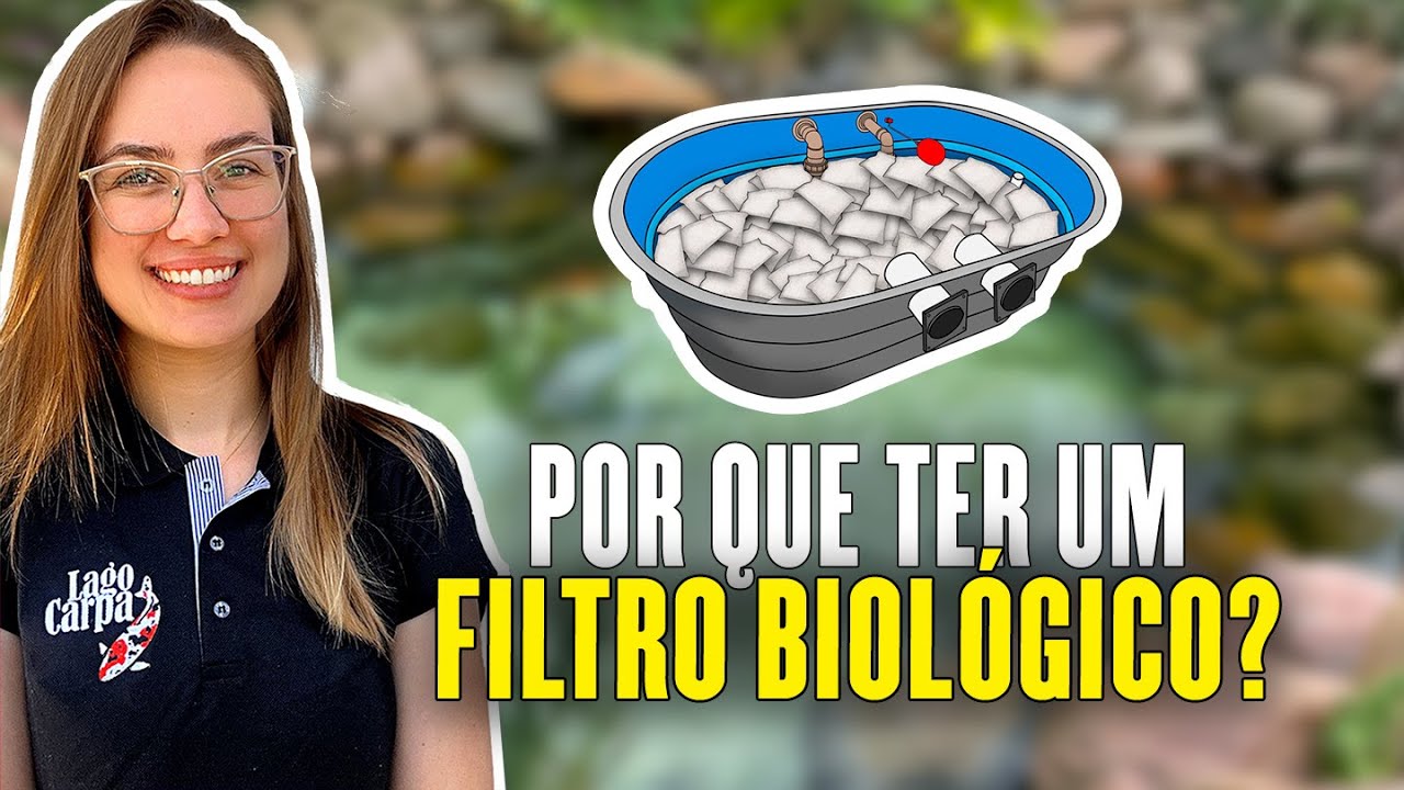 O que é um filtro biológico e como ele funciona em um lago ornamental?