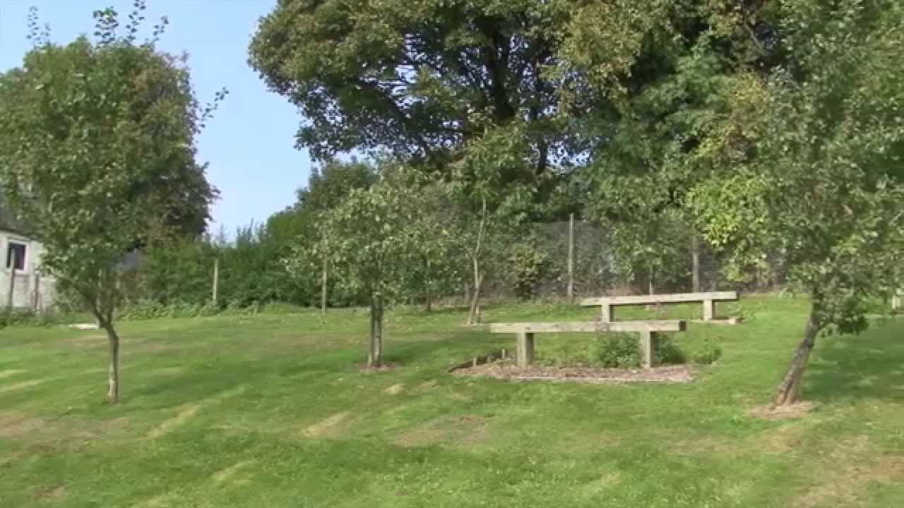 Neilston Primary